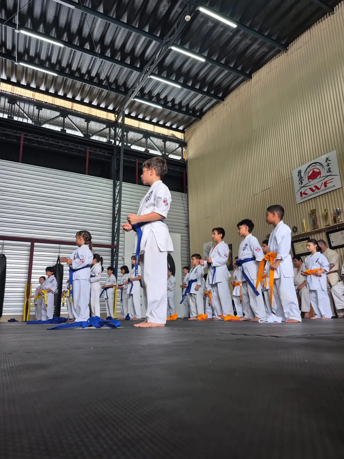 Clases de karate en Heredia horarios vespertinos