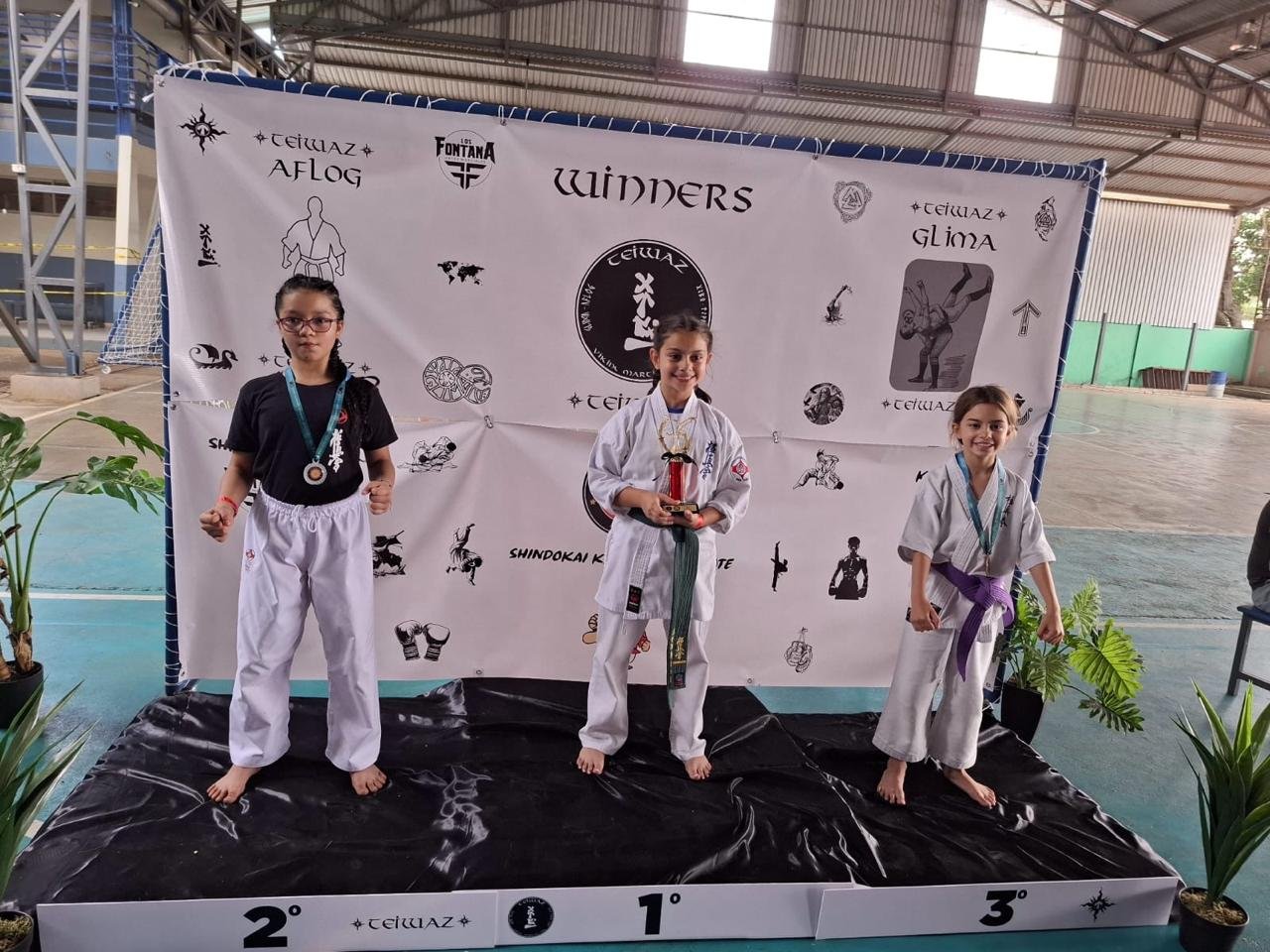 Enso Artes Marciales con tres primeros lugares en el Real Fighters Tournament Teiwaz Costa Rica